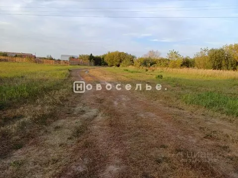 Участок в Рязанская область, Спасский район, Федотьевское с/пос, с. ...