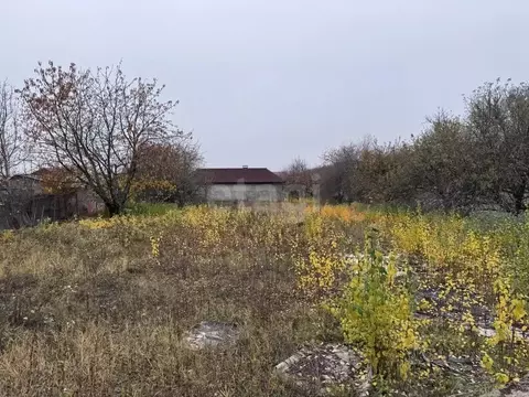 Участок в Белгородская область, Белгородский район, Тавровское с/пос, ...