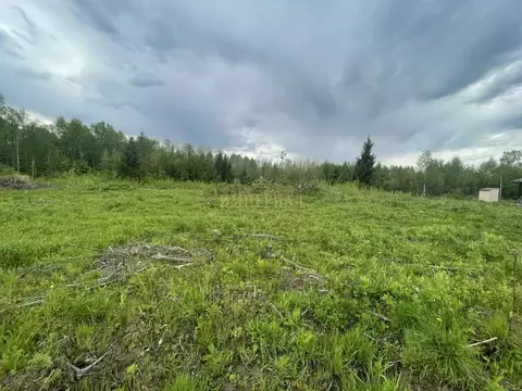 Участок в Марий Эл, Медведевский район, Куярское с/пос, пос. Лесной, ...