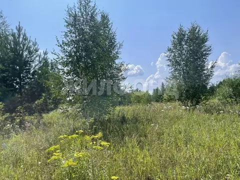 Участок в Новосибирская область, Бердск Любавино ТЛПХ,  (6.0 сот.)