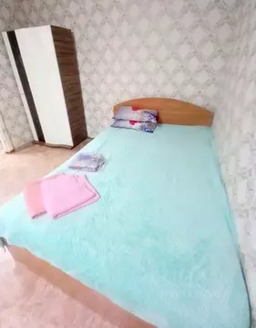 1-к кв. Хабаровский край, Хабаровск ул. Карла Маркса, 117 (33.0 м)