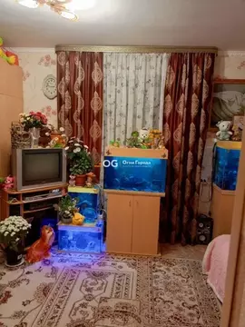 1-к кв. Брянская область, Брянск Новозыбковская ул., 16а (30.8 м)