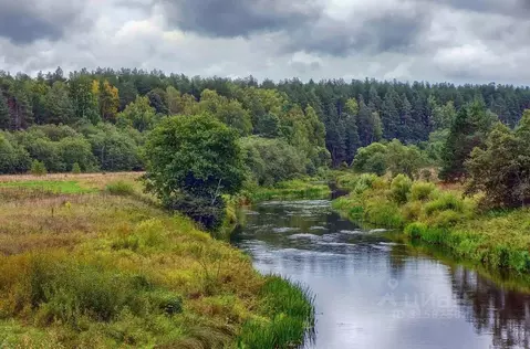 Участок в Тверская область, Зубцовский муниципальный округ, с. ...