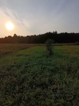 Участок в Пермский край, Нытвенский муниципальный округ, Егорово тер.  ...