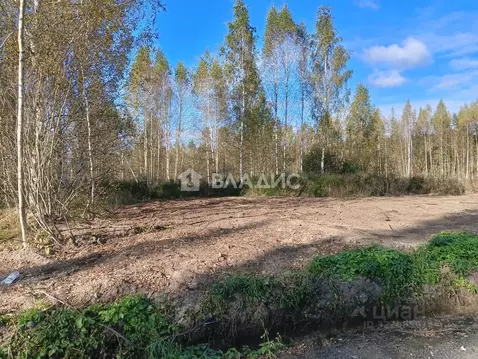 Участок в Ленинградская область, Всеволожский район, Свердловское ...