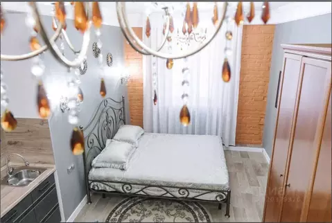 1-к кв. Амурская область, Благовещенск ул. Ленина, 148 (20.0 м)