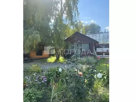 Участок в Новосибирская область, Новосибирский район, Морской ...