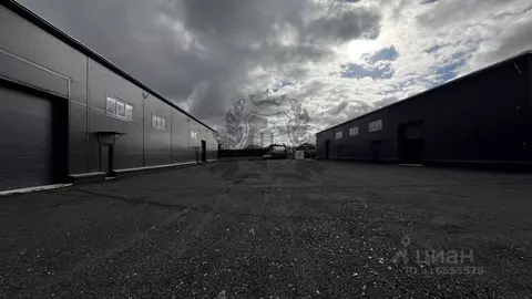 Производственное помещение в Ленинградская область, Ломоносовский ...