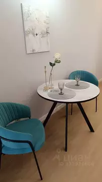 Студия Башкортостан, Уфа ул. Менделеева, 137к4 (26.0 м)