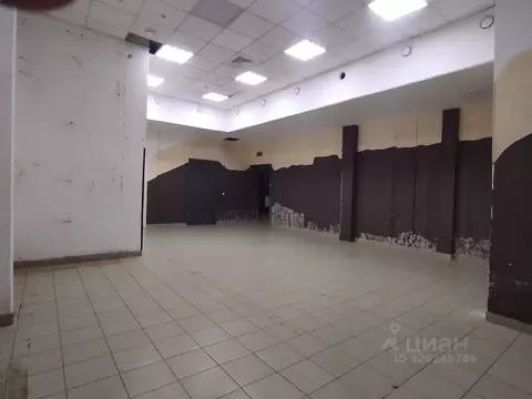 Торговая площадь в Красноярский край, Красноярск ул. Молокова, 28 (224 ...