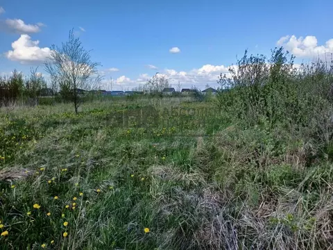 Участок в Новгородская область, Новгородский район, Ракомское с/пос, ...
