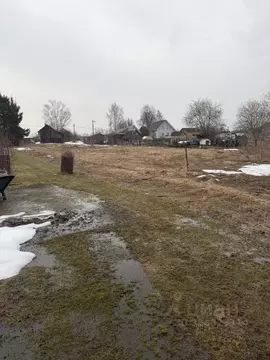 Участок в Московская область, Лотошино муниципальный округ, д. ...