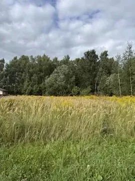 Участок в Тульская область, Заокский район, Малаховское с/пос, ...