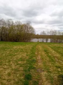 Участок в Новгородская область, Окуловский район, Турбинное с/пос, д. ...