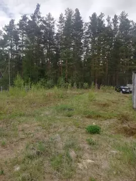 Участок в Вологодская область, Кадуйский муниципальный округ, ...