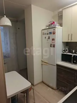 Студия Белгородская область, Белгород ул. Семейная, 23 (26.8 м)