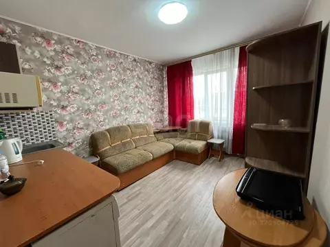 Студия Кемеровская область, Юрга ул. Машиностроителей, 49 (17.0 м)