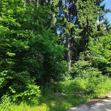 Участок в Московская область, Одинцовский городской округ, д. Сивково, ...