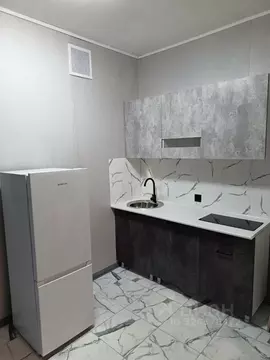 Студия Санкт-Петербург Пулковская ул., 6к2 (24.9 м)