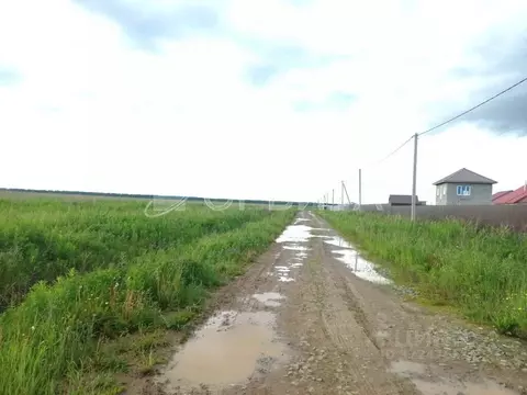 Участок в Тюменская область, Тюменский муниципальный округ, д. Елань ...