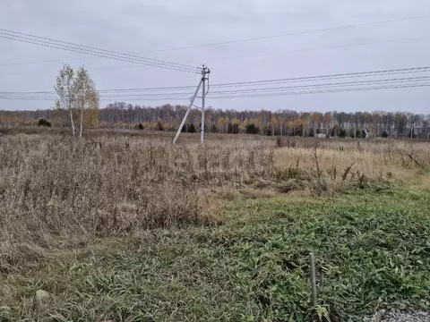 Участок в Челябинская область, Сосновский муниципальный округ, с. ...