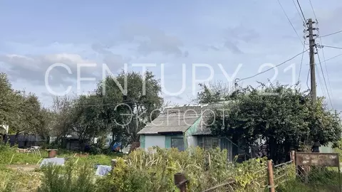 Участок в Калининградская область, Калининград 50 лет Октября СНТ, ул. ...
