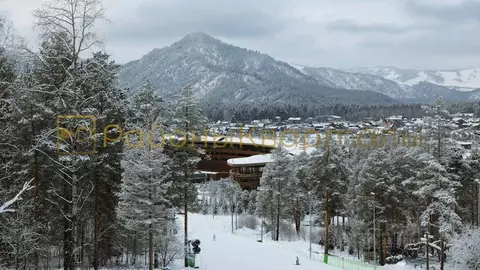 Участок в Алтай, Майминский район, с. Манжерок  (10.0 сот.)