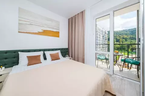 Студия Краснодарский край, Сочи ул. Искры, 88с4 (27.0 м)