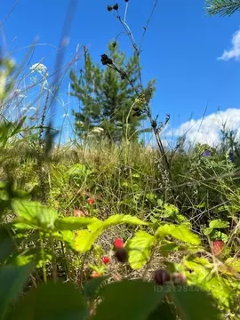 Участок в Свердловская область, Сысертский муниципальный округ, пос. ...