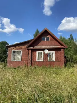 Дом в Ленинградская область, Лужский район, пос. Торковичи  (54 м)