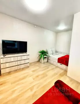 Студия Белгородская область, Белгород ул. Попова, 31 (44.0 м)