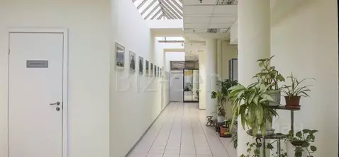 Офис в Санкт-Петербург пер. Апраксин, 8 (34 м)