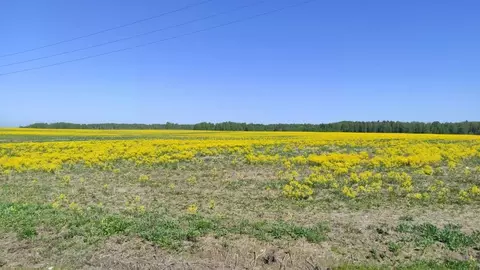 Участок в Московская область, Рузский муниципальный округ, д. Лидино  ...
