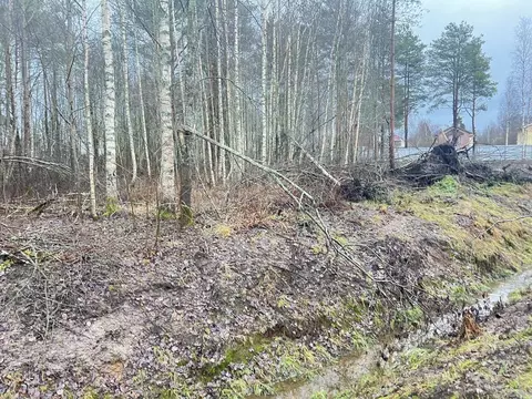 Участок в Ленинградская область, Всеволожский район, Рахьинское ...