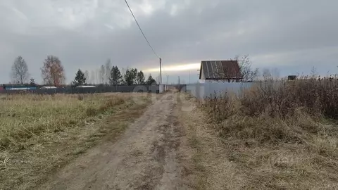 Участок в Тюменская область, Ялуторовский муниципальный округ, СО ...