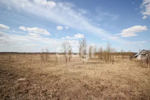 Участок в Ленинградская область, Волосовский район, Большеврудское ...