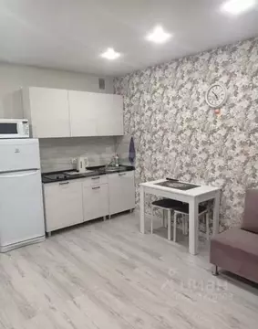 Студия Санкт-Петербург пос. Шушары, просп. Новгородский, 2к1 (24.7 м)