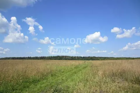 Участок в Тюменская область, Тюмень Грин Парк кп,  (6.59 сот.)