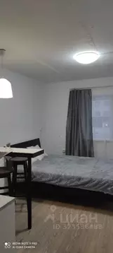 Студия Омская область, Омск ул. Куйбышева, 62 (38.0 м)