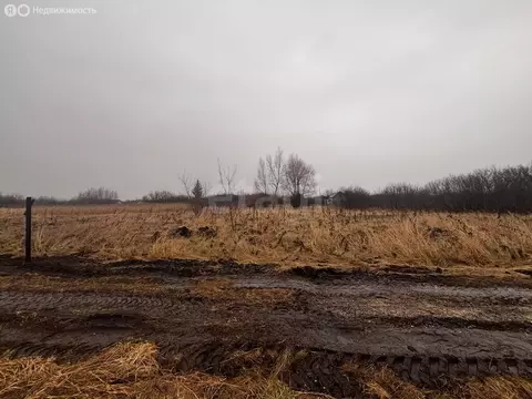 Участок в Стерлитамакский район, Октябрьский сельсовет, СНТ Ясное (606 ...