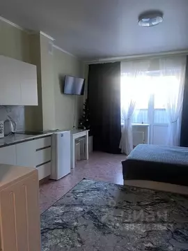 Студия Алтайский край, Бийск ул. Михаила Митрофанова, 2 (29.0 м)