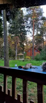 Дом в Московская область, Раменский муниципальный округ, Кратово дп ...