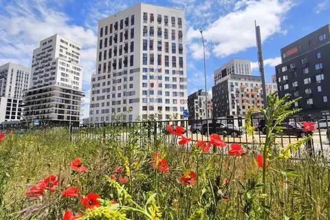 Студия Крым, Симферополь просп. Александра Суворова, 19 (28.0 м)