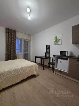 Студия Санкт-Петербург Комендантский просп., 69 (23.3 м)