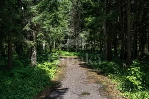 Участок в Московская область, Одинцовский городской округ, пос. дома ...