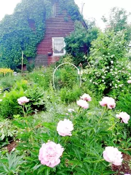 Дом в Пермский край, Пермь  (36 м)