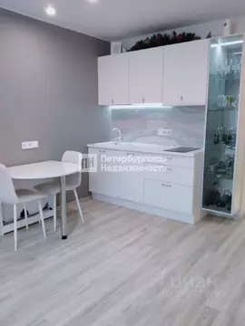 Студия Санкт-Петербург ул. Салова, 61 (33.0 м)