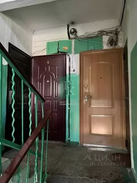 Комната Севастополь ул. Академика Крылова, 9 (10.2 м)