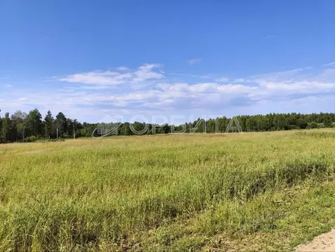 Участок в Тюменская область, Тюменский муниципальный округ, д. ...