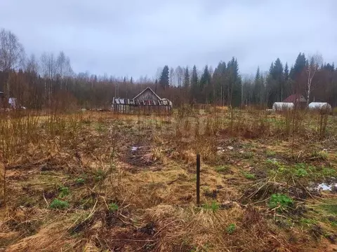 Участок в Коми, Сыктывдинский район, Выльгорт муниципальное ...